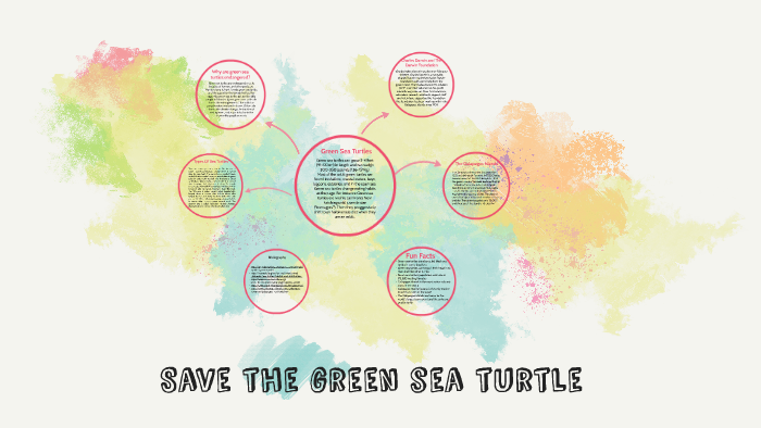 Save the green sea turtle by Karani1 Rajmohan on Prezi
