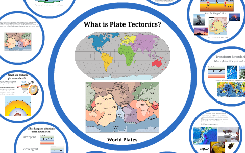 what is plate