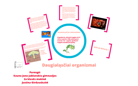 Daugialasciai Organizmai By Justina G