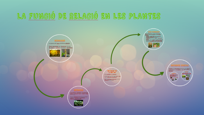 LA FUNCIÓ DE RELACIÓ EN LES PLANTES by Mar Cuartero on Prezi