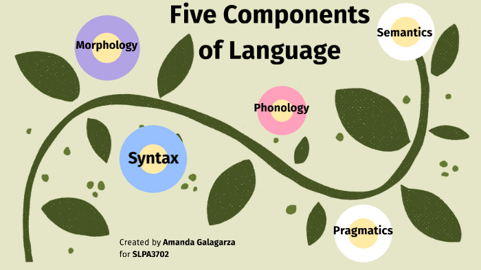 five-components-of-language-by-amanda-galagarza