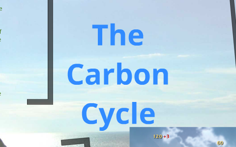 The Carbon Cycle by adara wb on Prezi
