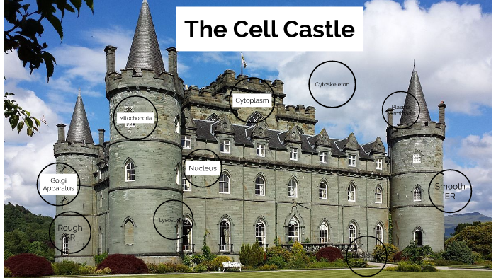 cell-castle-by-abby-idstein