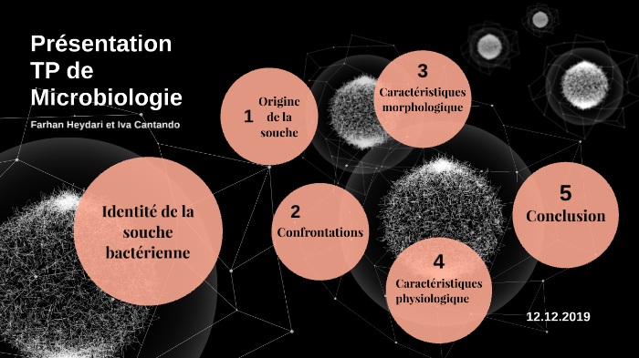 Présentation TP de microbiologie by on Prezi