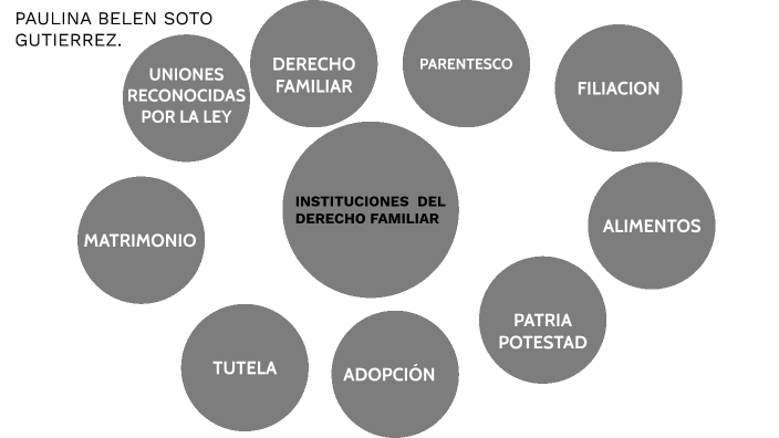 Cuales Son Las Instituciones Del Derecho De Familia