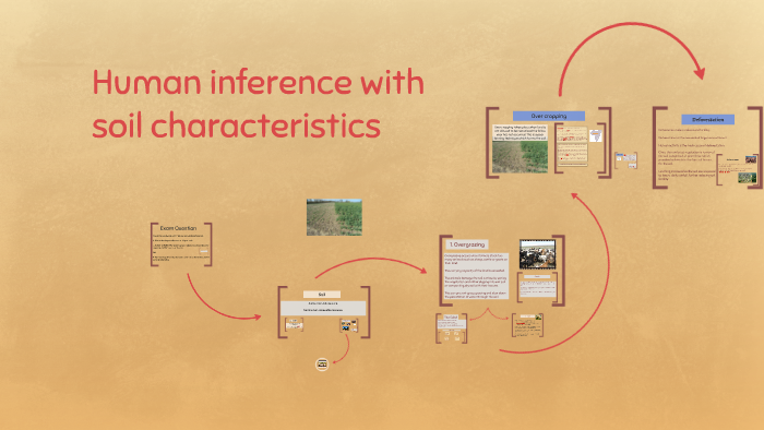 Human inference with soil characteristics by on Prezi