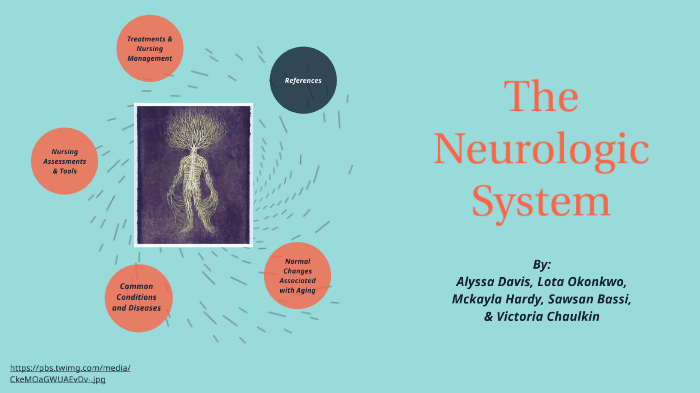 4100 - Neurologic System (Chapter 22) - Physiological Perspective ...