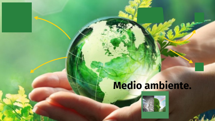 Medio ambiente. by Patricia García on Prezi