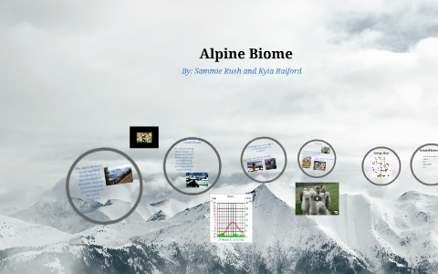 Alpine Biome by Sammie Rush on Prezi