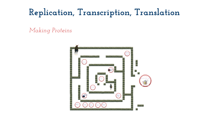 Replication, Transcription, Translation by Juli Campbell on Prezi