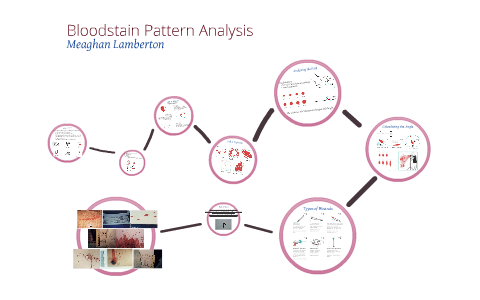 Bloodstain Pattern Analysis Bio 11 by Meaghan Lambert