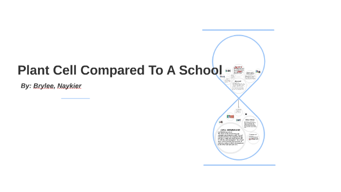 Plant Cell Compared To A School by Brylee Driscoll on Prezi