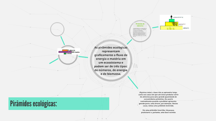 Pirâmides ecológicas: by Katia Barletta on Prezi