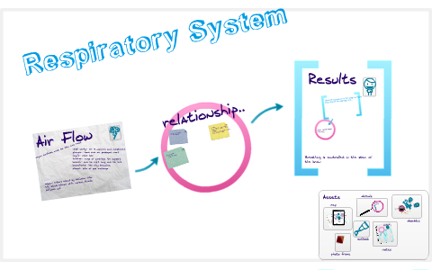 Respiratory System by Kristen Davis on Prezi