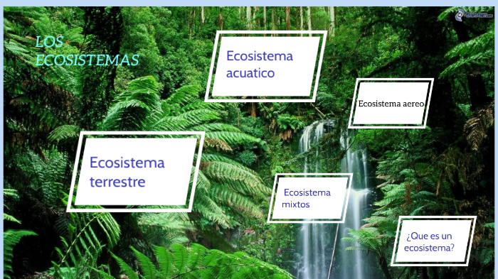 LOS ECOSISTEMAS DEL PERU by viviana lasteros on Prezi