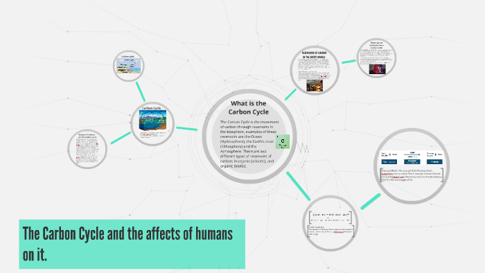 The Carbon Cycle and the affects of humans on it. by Nicklas Tecson on ...