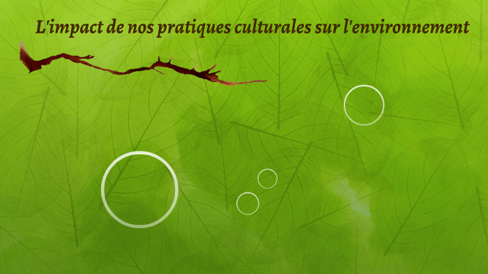 l'impact des pratiques culturales sur l'environnement by emilie arsac ...
