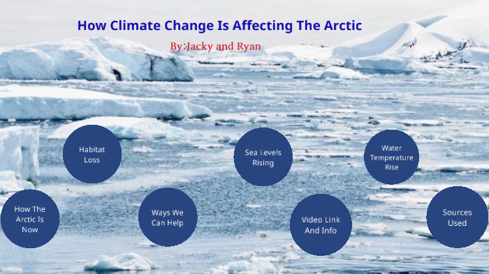 Climate change in the Arctic by Jacky Yang on Prezi