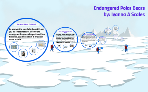Endangered Polar Bears by on Prezi