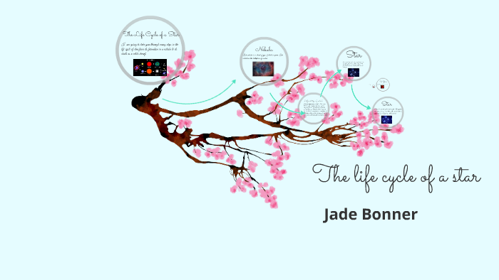 The life cycle of a star by Heather Steele on Prezi