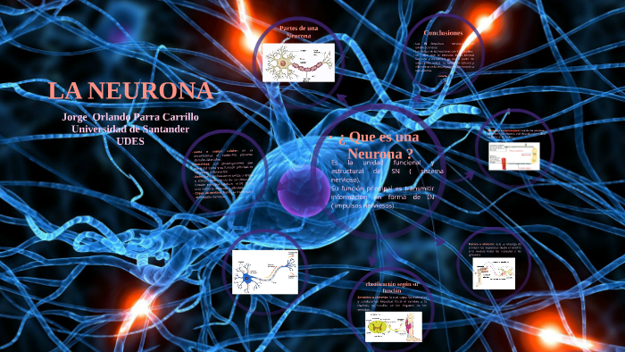 LA NEURONA By Jorge Parra Carrillo