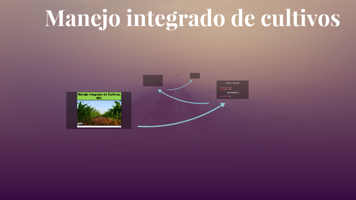 Manejo Integrado De Cultivos By Edwin Caicedo On Prezi