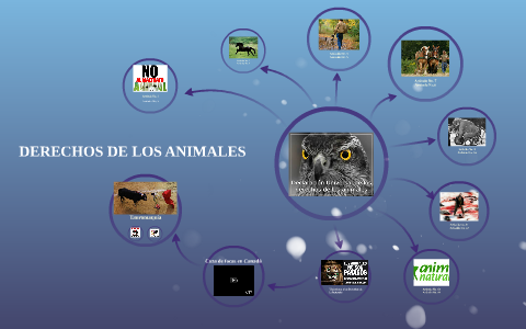 DERECHOS DE LOS ANIMALES by on Prezi