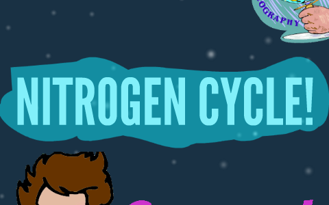 NITROGEN CYCLE! by daniel abeshin on Prezi