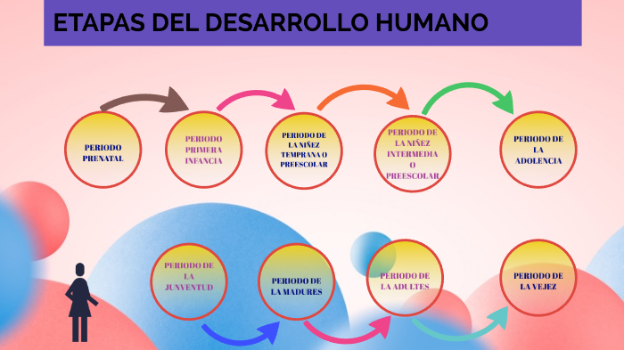 etapas de desarrollo humano by yhimi valdiviezo ibañez on Prezi