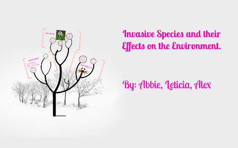 Invasive Species and their Effects on the Environment by Alex Mena on Prezi