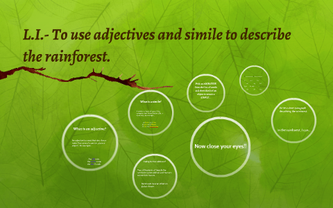rainforest adjectives describe