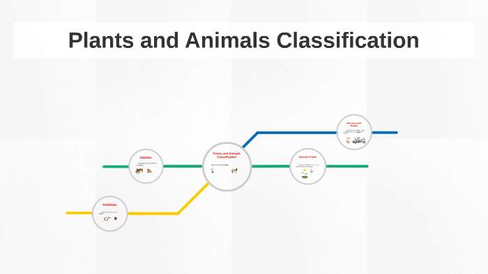 Plants and Animals Classification by Mark Night on Prezi