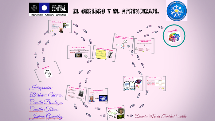 EL CEREBRO Y EL APRENDIZAJE. by Camila T. Hidalgo on Prezi