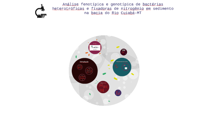 Análise fenotípica e genotípica de bactérias heterotróficas by Renata Adão