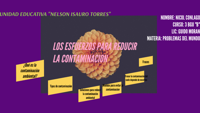 LOS ESFUERZOS PARA REDUCIR LA CONTAMINACION by Nicol Conlago on Prezi Next