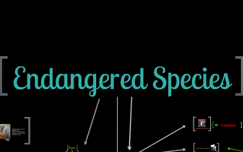 Endangered Species by Endangered Species on Prezi