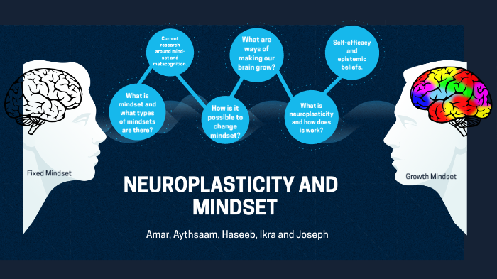 Neuroplasticity And Mindset By Haseeb Satti On Prezi