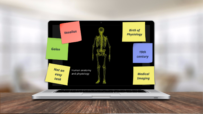 human anatomy prezi presentation