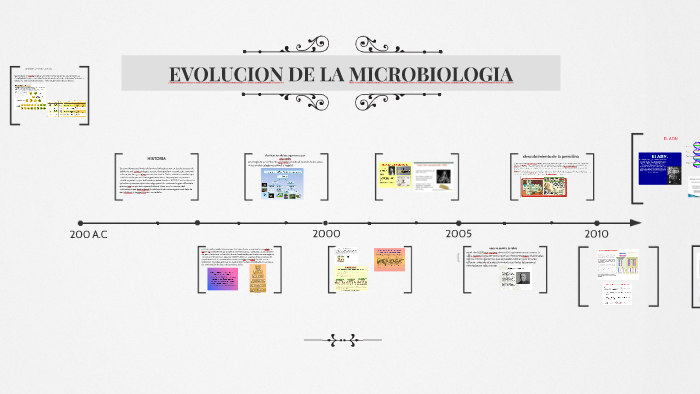 Linea De Tiempo De La Historia De La Microbiologia Timeline Timetoast Images 0282