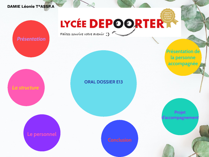 DOSSIER E13 by Léonie DAMIE on Prezi
