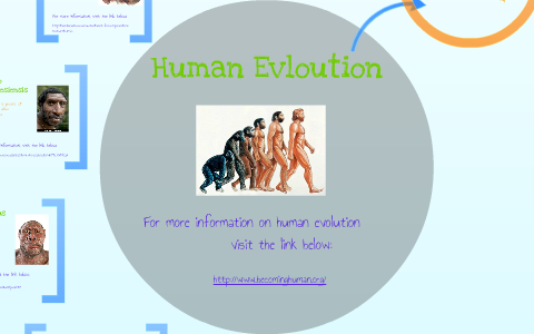 Parisi Human Evolution by Kate Parisi on Prezi