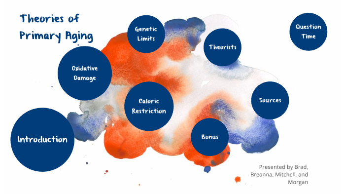 Theories Of Primary Aging By Morgan Nelson On Prezi