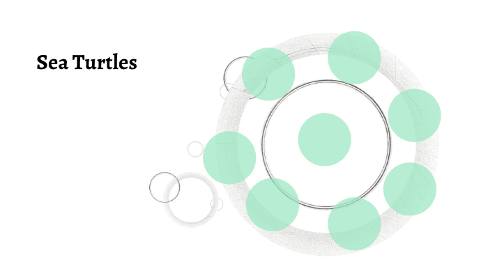 Sea Turtles by Jose Avila on Prezi