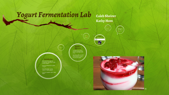 Yogurt Fermentation Lab by Kathy Hom - Bos2bc5zmf4xrhvv5yuec7qw4p6jc3sachvcDoaizecfr3Dnitcq 3 0
