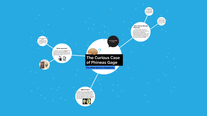 The Curious Case Of Phineas Gage By Cara Cavarretta