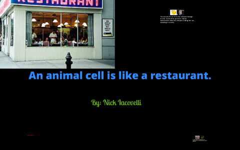 A Cell Is Like A Restaurant By Nick Iacovelli