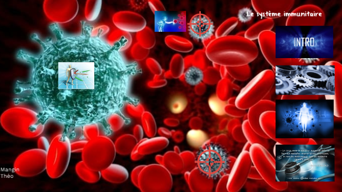 Le système immunitaire by Théomcdo Manginbigmac on Prezi