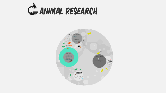 Animal Research by on Prezi