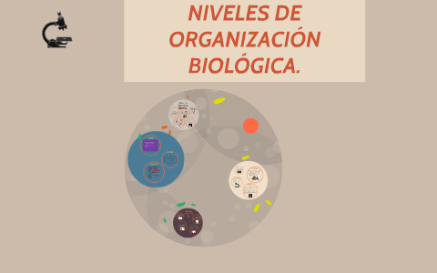 NIVELES DE ORGANIZACIÓN BIOLOGICA by Victor Salazar on Prezi