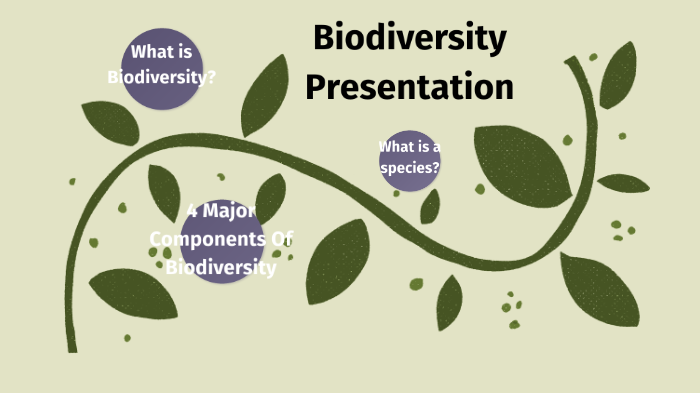 Biodiversity Presentation By Stephen C On Prezi